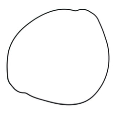 Outer Clutch Gasket Kit 819047