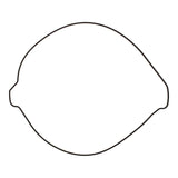 Outer Clutch Gasket Kit 819267