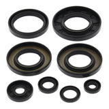 Oil Seal Kit 822349