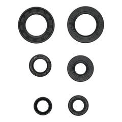 Oil Seal Kit 822391