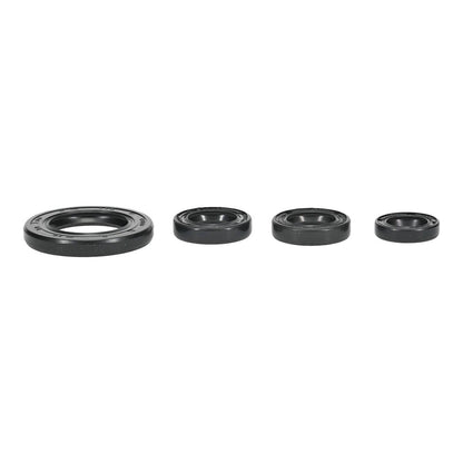 Oil Seal Kit 822395