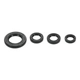 Oil Seal Kit 822395