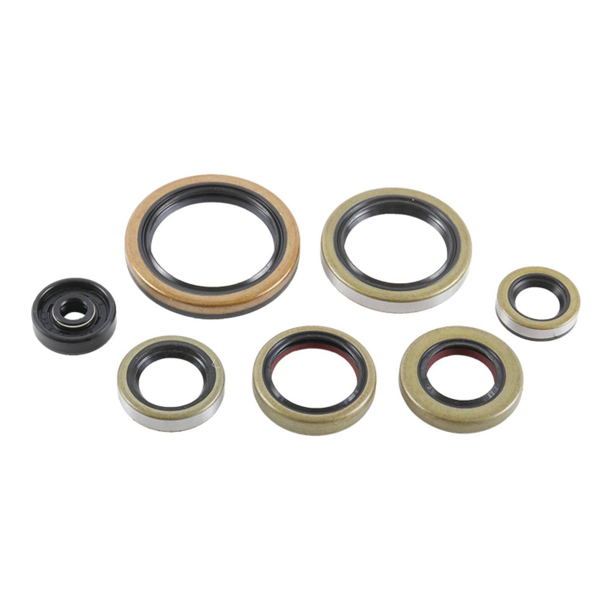 Oil Seal Kit 822976