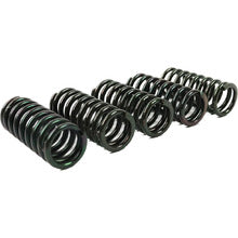 Wiseco Motorcycle Off Road, Clutch Springs (W-CSK057)