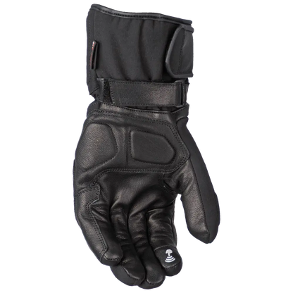 WNT 2 BLACK