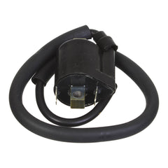Whites Electrical Coil 12V