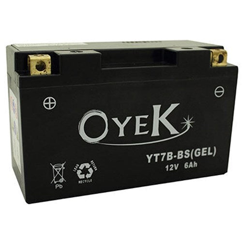 OYEK YB9L-A2 Heavy Duty QTY PR. Multi 10 (UN2796)
