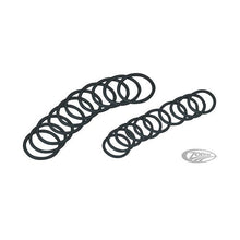 Zodiac Repl Orings Med (10) F/SM Fpegs