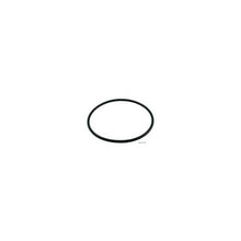 Zodiac R/MENT Viton O-Ring Seal (for Z120243/Z120244)