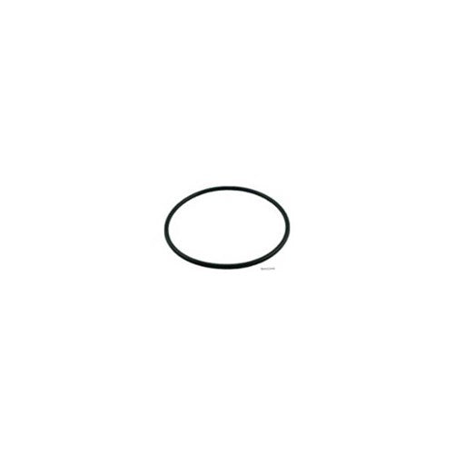 #Zodiac R/MENT Viton O-Ring Seal (for Z120243/Z120244)