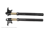 Front fork R&T Ducati Diavel (SET)