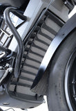 Radiator Guard - TITANIUM  - Indian Scout '15