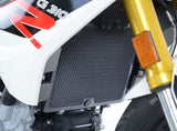 Radiator Guard BLK BMW G310R 17
