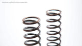 Spring,Fr.fork 25.5/300/10.0 (PAIR)