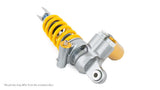 Kawasaki ZX-6R (636) TTX GP (PCS)